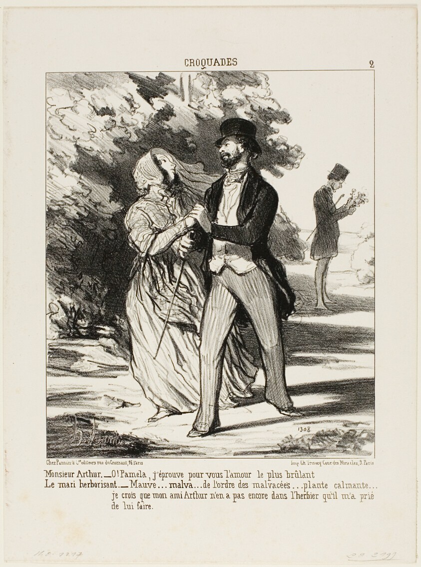 Monsieur Arthur: “- Oh Pamela! I am burning with love for you!” The husband herbalist: “- A mallow... of the family of Malvaceae... a sedative... I don't believe my friend Arthur has this specimen in the herbarium he asked me to build for him,” plate 2 from Croquades