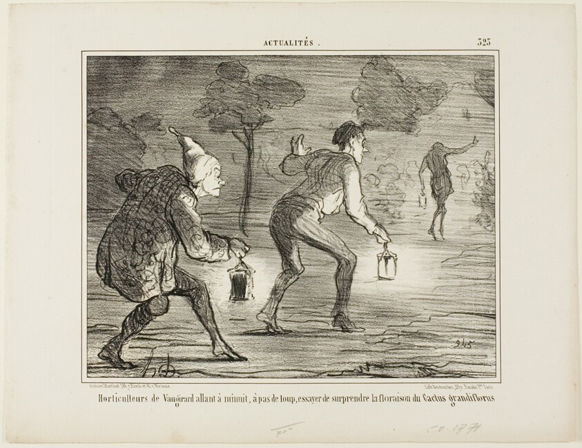 Horticulturists of Nanterre tiptoeing at midnight towards the cactus grandiflorus in order to surprise it in its blossoming, plate 323 from Actualités